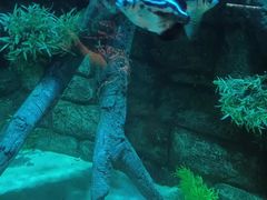 -沈阳海洋探索中心