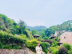 -花竹村