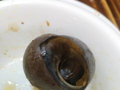 -食爺炭炉鸡煲·烧烤