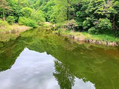 -洛阳白云山景区
