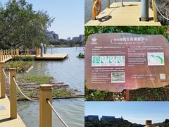 -华侨城湿地公园