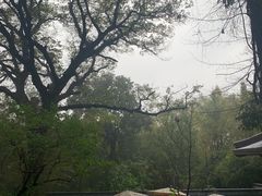 -西湖风景区十里琅珰-五云山