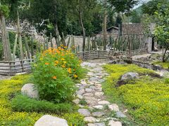 -MOJ coffee(瓯海泽雅水碓坑店)