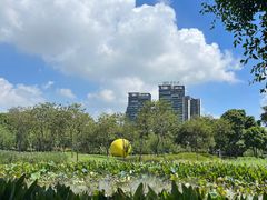 -顺峰山公园