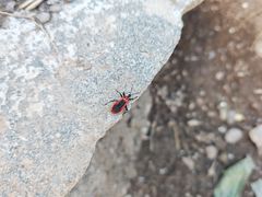 -双龙峡