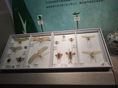 -烟台市博物馆