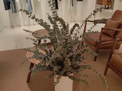 -大商麦凯乐(大连总店)