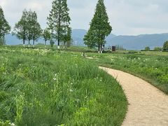 -良渚古城遗址公园