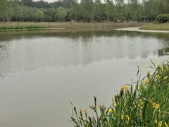 -东郊湿地公园