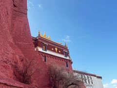 -布达拉宫
