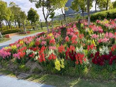 -春花秋色城市公园