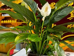 -伊帆食府·青海地方特色美食