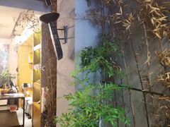 -泰·菩提树下[泰式按摩x精油SPAx肩颈头疗](新景店)