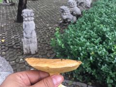 -常家庄园