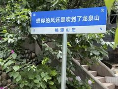 -桃源山庄·水蜜桃采摘·柴火鸡·烧烤团建(龙泉山店)