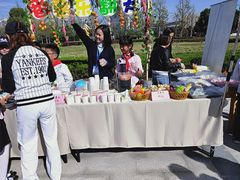 -金陵中学(河西分校)