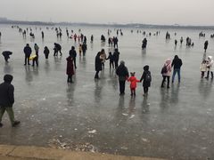 -丁香湖公园