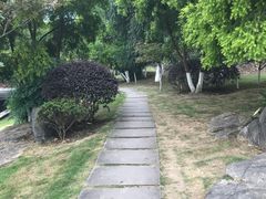 -铁山坪森林公园