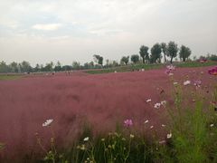 -汉长安城未央宫国家考古遗址公园