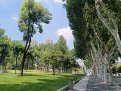 -后襄河公园