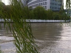 -上海中医药大学附属曙光医院(东部)