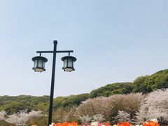-苏州上方山国家森林公园
