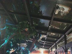 -海岛八号龙虾烧烤田鸡(蓝天路总店)