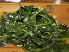 -庭院小酌(瑞莲街店)