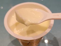 -大连湾旭日·家宴·海肠捞饭(马栏广场店)