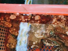 -坛南湾阿强农家乐.海鲜大排档老字号(福州地标美食店)