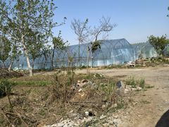 -兰陵国家农业公园