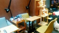 -隅日式美甲美睫專門店