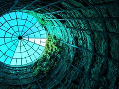 -西峡恐龙遗迹园