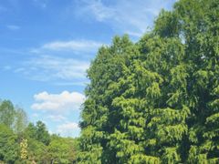 -上海海湾国家森林公园