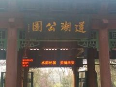 -莲湖公园