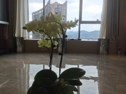 -KONSISTANT科思坦汀问题肌·科技美肤