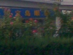 -宝岛眼镜(建外soho店)