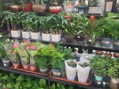 -大润发(张江店)