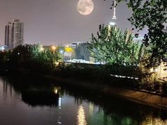 -海河游船-永乐码头(大悲院)