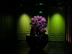 -上海滩餐厅(BFC外滩金融中心店)