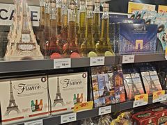 -戴高乐机场火车站