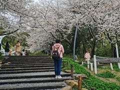 -杭州少年儿童公园