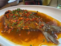 -肖记公安牛肉鱼杂馆· 省级非物质文化遗产(仁和路店)