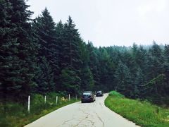 -芦芽山旅游度假区