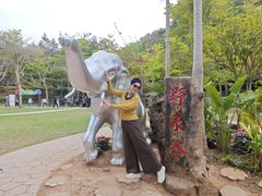 -野象谷景区