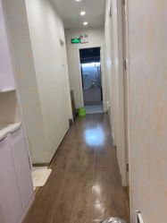 -YESIDO椰岛造型