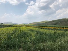 -塞罕坝国家级自然保护区