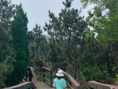 -龙门崮风景区
