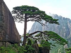 -黄山风景区