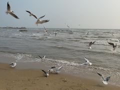 -老虎石海上公园